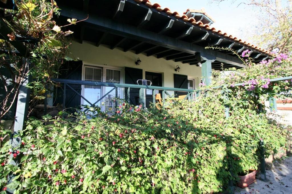 La Casa De Gene Villa Ruilobuca Kültér fotó